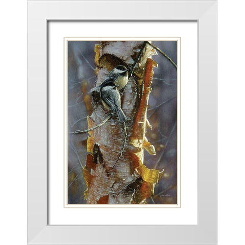 Black-Capped Chickadees - Sunlit Birch White Modern Wood Framed Art Print with Double Matting by Bogle, Collin