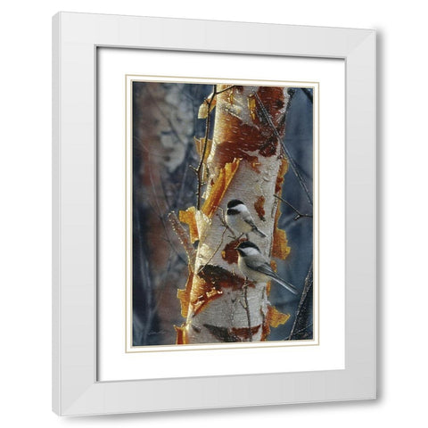 Black-Capped Chickadees - Sunlit Birch II White Modern Wood Framed Art Print with Double Matting by Bogle, Collin