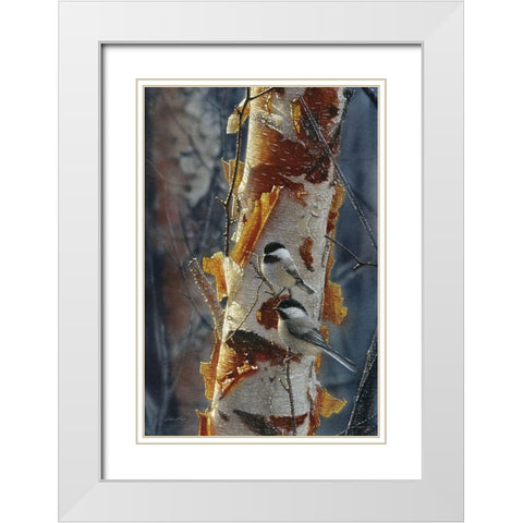 Black-Capped Chickadees - Sunlit Birch II White Modern Wood Framed Art Print with Double Matting by Bogle, Collin