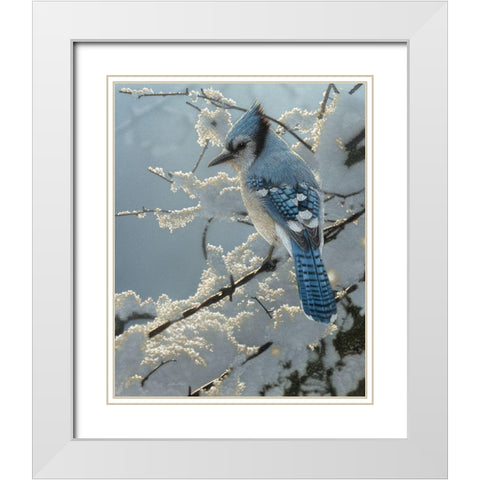 Blue Jay - On the Fence White Modern Wood Framed Art Print with Double Matting by Bogle, Collin