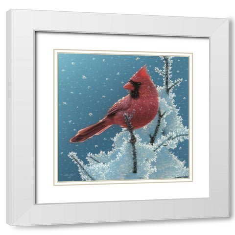 Cardinal - Cherry on Top White Modern Wood Framed Art Print with Double Matting by Bogle, Collin