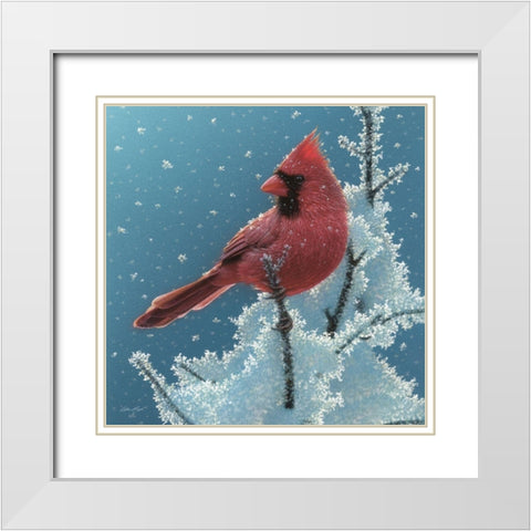 Cardinal - Cherry on Top White Modern Wood Framed Art Print with Double Matting by Bogle, Collin
