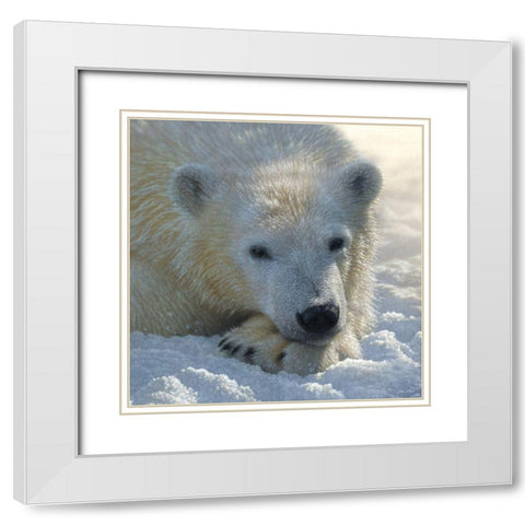 Polar Bear Club White Modern Wood Framed Art Print with Double Matting by Bogle, Collin