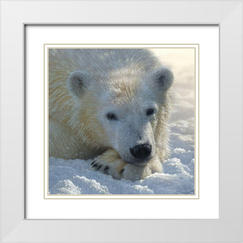 Polar Bear Club White Modern Wood Framed Art Print with Double Matting by Bogle, Collin