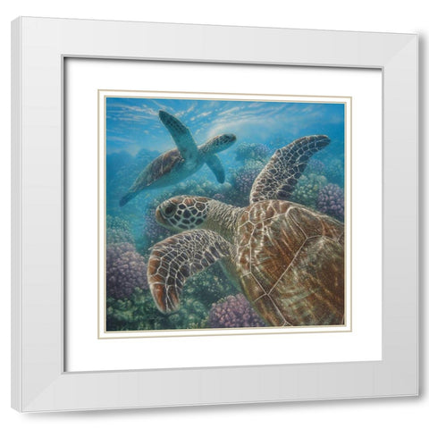 Sea Turtles - Turtle Bay - Square White Modern Wood Framed Art Print with Double Matting by Bogle, Collin