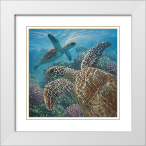 Sea Turtles - Turtle Bay - Square White Modern Wood Framed Art Print with Double Matting by Bogle, Collin