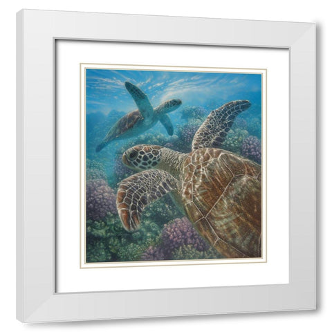 Sea Turtles - Turtle Bay White Modern Wood Framed Art Print with Double Matting by Bogle, Collin