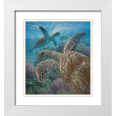 Sea Turtles - Turtle Bay White Modern Wood Framed Art Print with Double Matting by Bogle, Collin