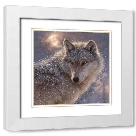 Lone Wolf - Square White Modern Wood Framed Art Print with Double Matting by Bogle, Collin