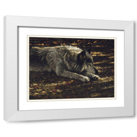 Resting Wolf White Modern Wood Framed Art Print with Double Matting by Bogle, Collin