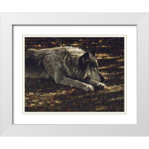 Resting Wolf White Modern Wood Framed Art Print with Double Matting by Bogle, Collin