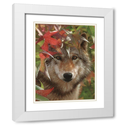 Wolf - Autumn Encounter White Modern Wood Framed Art Print with Double Matting by Bogle, Collin
