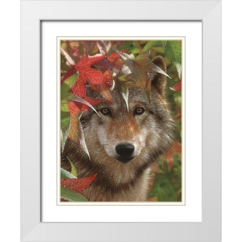 Wolf - Autumn Encounter White Modern Wood Framed Art Print with Double Matting by Bogle, Collin