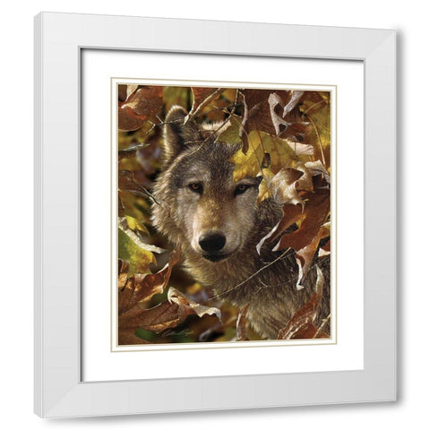Wolf - Autumn Shadows White Modern Wood Framed Art Print with Double Matting by Bogle, Collin