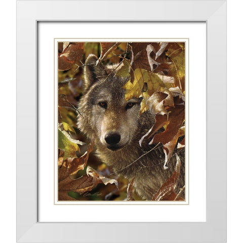 Wolf - Autumn Shadows White Modern Wood Framed Art Print with Double Matting by Bogle, Collin