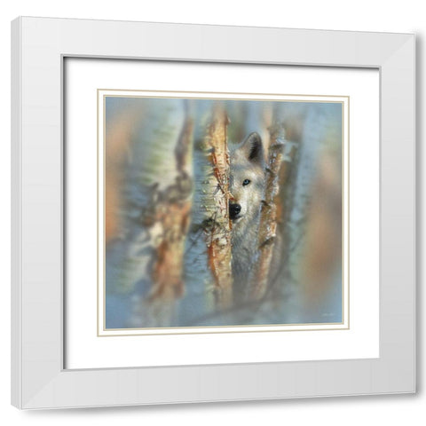 Wolf - Focused White Modern Wood Framed Art Print with Double Matting by Bogle, Collin