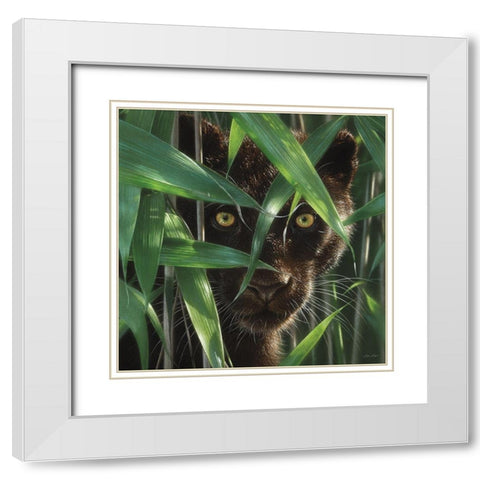 Black Panther - Wild Eyes White Modern Wood Framed Art Print with Double Matting by Bogle, Collin
