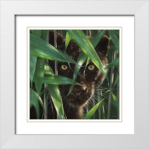 Black Panther - Wild Eyes White Modern Wood Framed Art Print with Double Matting by Bogle, Collin