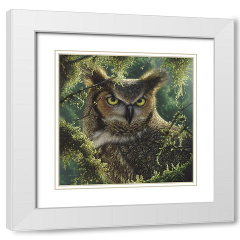 Great Horned Owl - Watching and Waiting White Modern Wood Framed Art Print with Double Matting by Bogle, Collin