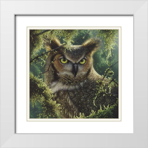 Great Horned Owl - Watching and Waiting White Modern Wood Framed Art Print with Double Matting by Bogle, Collin