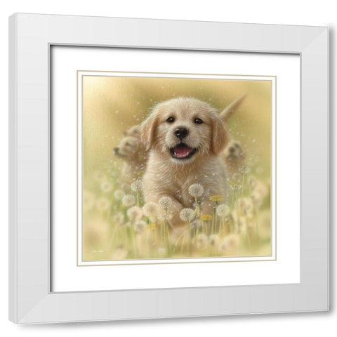 Golden Retriever Puppy - Dandelions - Square White Modern Wood Framed Art Print with Double Matting by Bogle, Collin
