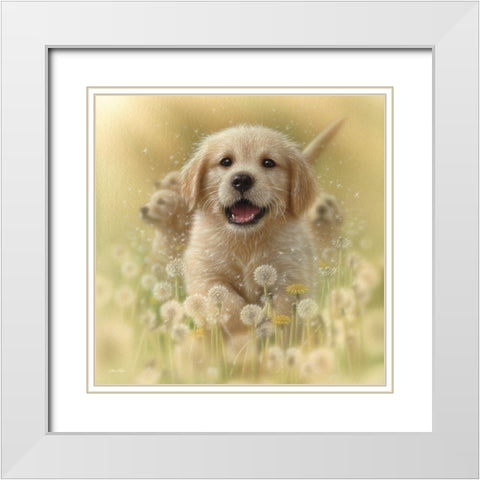 Golden Retriever Puppy - Dandelions - Square White Modern Wood Framed Art Print with Double Matting by Bogle, Collin