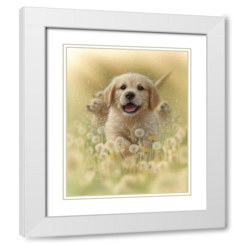 Golden Retriever Puppy - Dandelions White Modern Wood Framed Art Print with Double Matting by Bogle, Collin