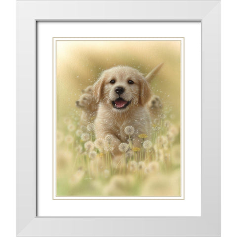 Golden Retriever Puppy - Dandelions White Modern Wood Framed Art Print with Double Matting by Bogle, Collin