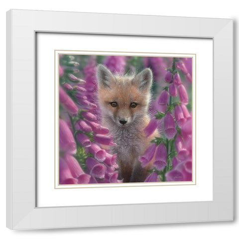 Red Fox - Foxgloves - Square White Modern Wood Framed Art Print with Double Matting by Bogle, Collin