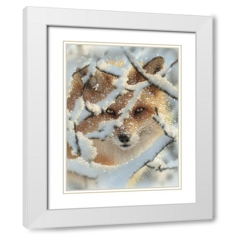 Red Fox - Hide and Seek White Modern Wood Framed Art Print with Double Matting by Bogle, Collin
