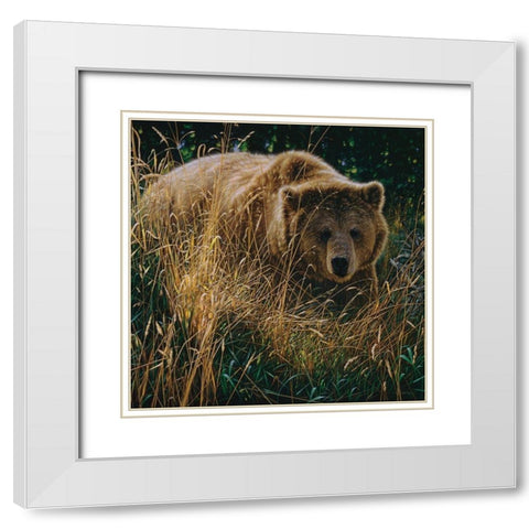 Brown Bear - Crossing Paths White Modern Wood Framed Art Print with Double Matting by Bogle, Collin
