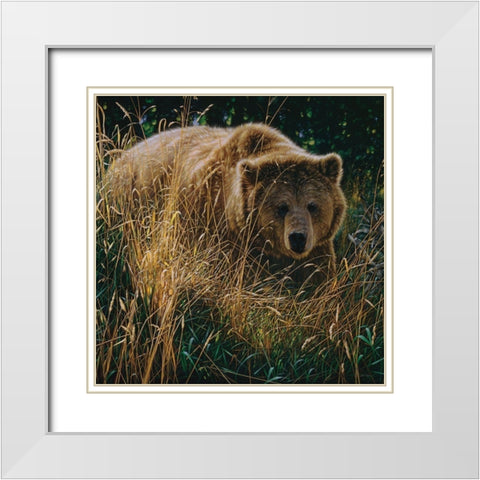 Brown Bear - Crossing Paths White Modern Wood Framed Art Print with Double Matting by Bogle, Collin