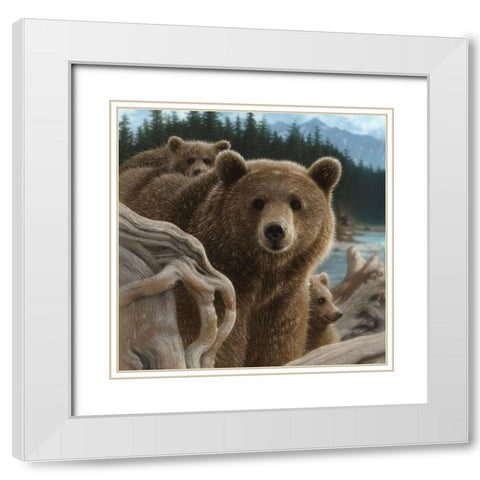 Brown Bears - Backpacking - Square White Modern Wood Framed Art Print with Double Matting by Bogle, Collin