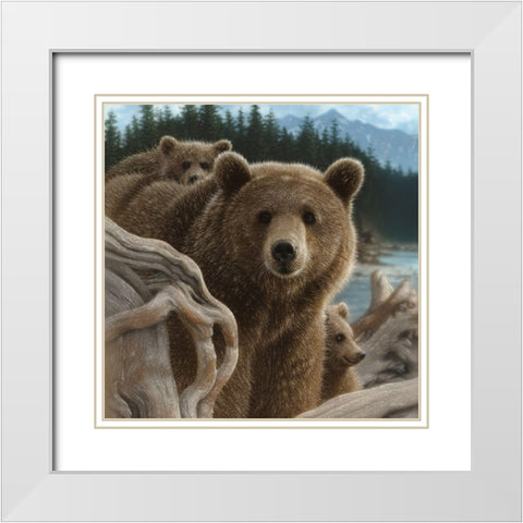 Brown Bears - Backpacking - Square White Modern Wood Framed Art Print with Double Matting by Bogle, Collin