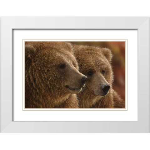 Brown Bears - Lazy Daze White Modern Wood Framed Art Print with Double Matting by Bogle, Collin