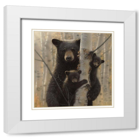 Black Bear Mother and Cubs - Mama Bear White Modern Wood Framed Art Print with Double Matting by Bogle, Collin