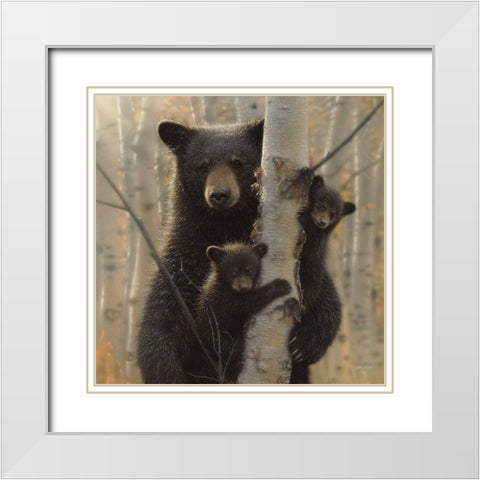 Black Bear Mother and Cubs - Mama Bear White Modern Wood Framed Art Print with Double Matting by Bogle, Collin
