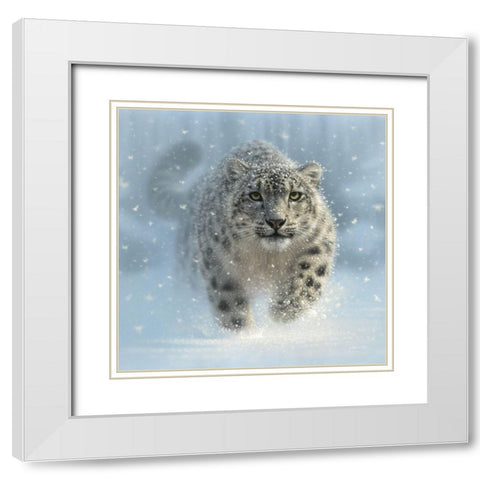Snow Leopard - Snow Ghost White Modern Wood Framed Art Print with Double Matting by Bogle, Collin