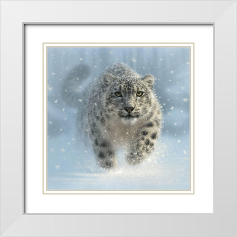 Snow Leopard - Snow Ghost White Modern Wood Framed Art Print with Double Matting by Bogle, Collin