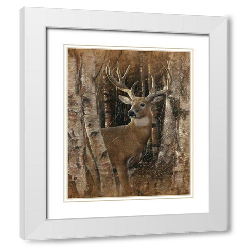 Whitetail Deer - Birchwood Buck White Modern Wood Framed Art Print with Double Matting by Bogle, Collin