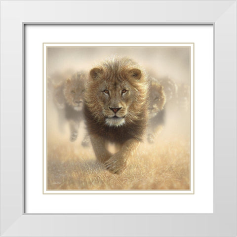 Eat My Dust White Modern Wood Framed Art Print with Double Matting by Bogle, Collin