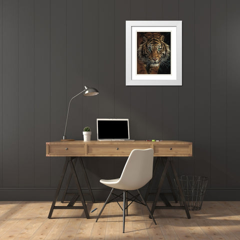 Eye of the Tiger White Modern Wood Framed Art Print with Double Matting by Bogle, Collin