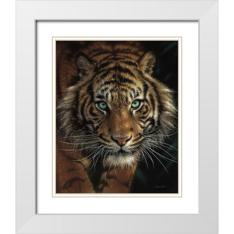 Eye of the Tiger White Modern Wood Framed Art Print with Double Matting by Bogle, Collin