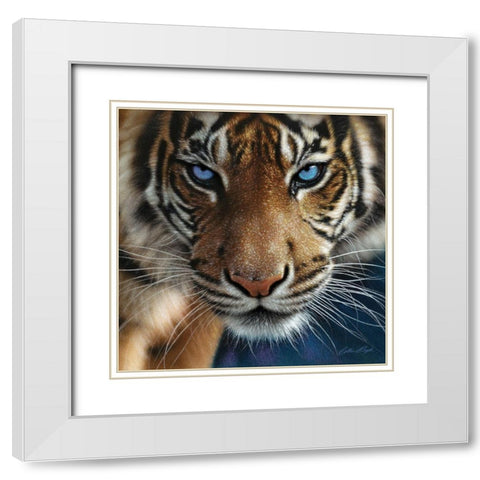 Tiger - Blue Eyes White Modern Wood Framed Art Print with Double Matting by Bogle, Collin