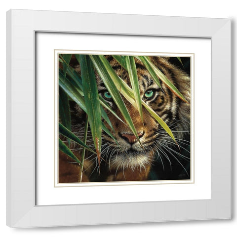 Tiger Eyes White Modern Wood Framed Art Print with Double Matting by Bogle, Collin