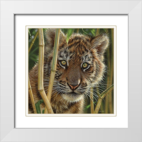 Tiger Cub - Discovery White Modern Wood Framed Art Print with Double Matting by Bogle, Collin