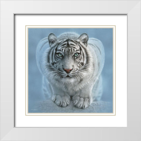 White Tiger - Wild Intentions Square White Modern Wood Framed Art Print with Double Matting by Bogle, Collin