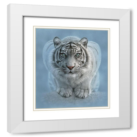 White Tiger - Wild Intentions White Modern Wood Framed Art Print with Double Matting by Bogle, Collin
