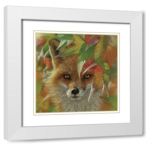 Autumn Red Fox White Modern Wood Framed Art Print with Double Matting by Bogle, Collin