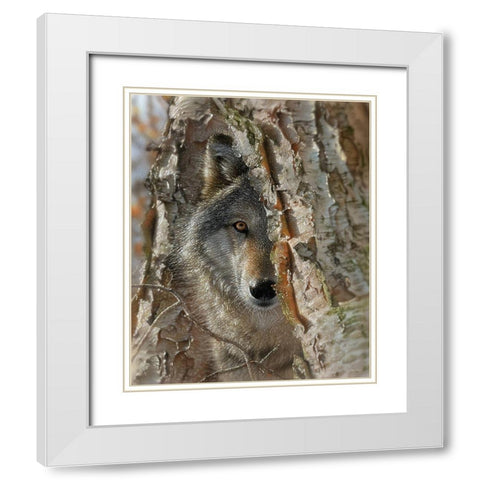 Close Encounter White Modern Wood Framed Art Print with Double Matting by Bogle, Collin